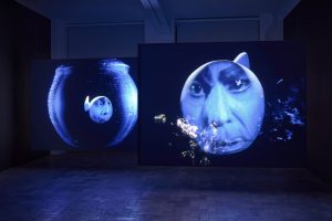 Hiatus by Ericka Beckman at Vennelkasen Werner, Berlin, Germany